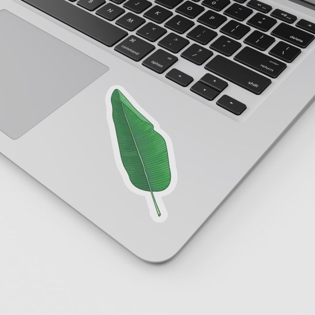 Alternative view of استیکر وینا مدل Banana Leaf