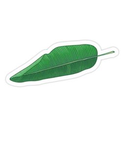 استیکر وینا مدل Banana Leaf