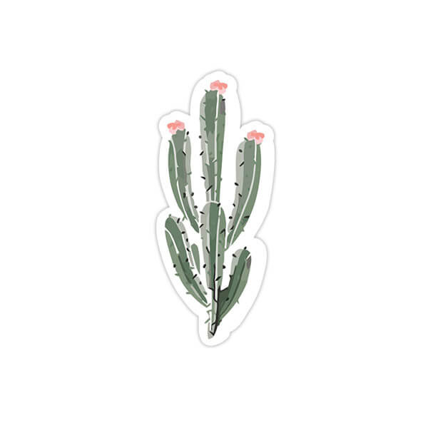استیکر وینا مدل Cactus 03