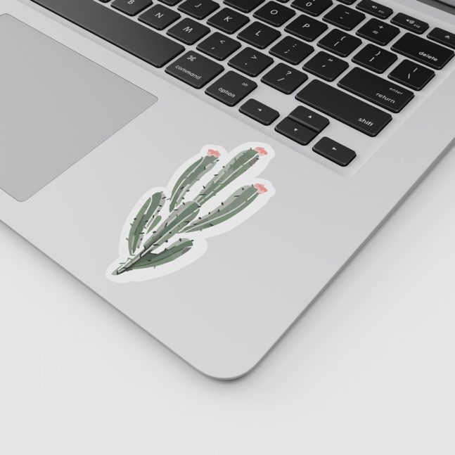 Alternative view of استیکر وینا مدل Cactus 03