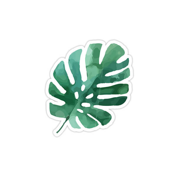 استیکر وینا مدل Monstera