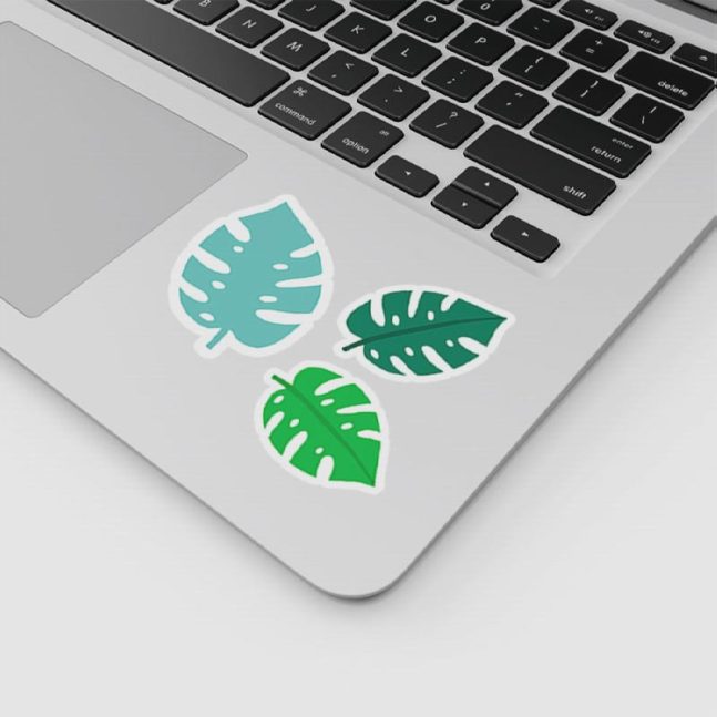Alternative view of استیکر وینا مدل Monstera Pack
