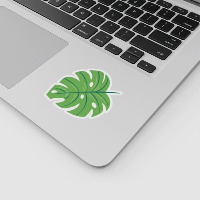 Alternative view of استیکر وینا مدل Monstera Leaf