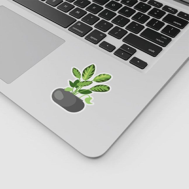 Alternative view of استیکر وینا مدل 1 Plant Pot