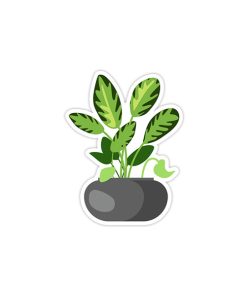 استیکر وینا مدل 1 Plant Pot